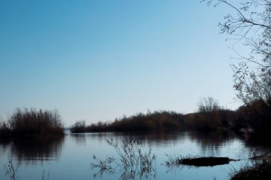 Arkhangelsk 'de sonbahar günü. Ada Krasnoflotsky. yansıma 