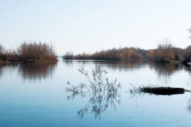 Arkhangelsk 'de sonbahar günü. Ada Krasnoflotsky. yansıma 