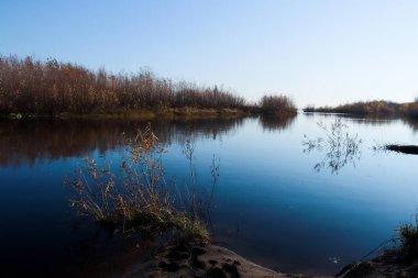 Arkhangelsk 'de sonbahar günü. Ada Krasnoflotsky. yansıma 