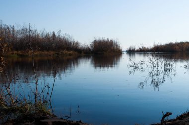 Arkhangelsk 'de sonbahar günü. Ada Krasnoflotsky. yansıma 