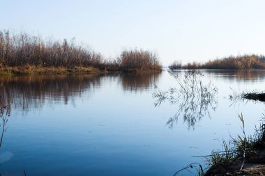 Arkhangelsk 'de sonbahar günü. Ada Krasnoflotsky. yansıma 