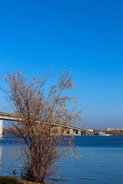 Arkhangelsk 'de sonbahar günü. Nehir kuzey Dvina görünümü ve 