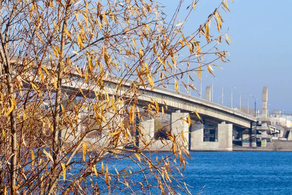 Arkhangelsk 'de sonbahar günü. Nehir kuzey Dvina görünümü ve — Stok fotoğraf