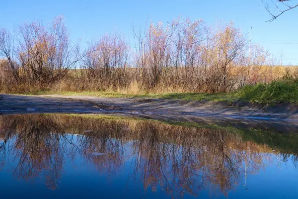 Arkhangelsk 'de sonbahar günü. Ada Krasnoflotsky. yansıma 