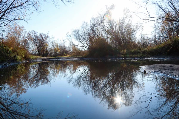 Arkhangelsk 'de sonbahar günü. Ada Krasnoflotsky. yansıma 