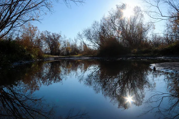 Arkhangelsk 'de sonbahar günü. Ada Krasnoflotsky. yansıma 