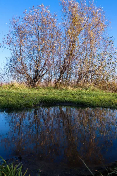 Arkhangelsk 'de sonbahar günü. Ada Krasnoflotsky. yansıma 