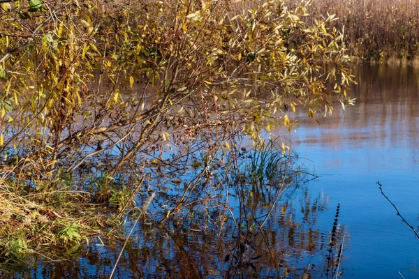 Arkhangelsk 'de sonbahar günü. Nehir kuzey Dvina görünümü ve 