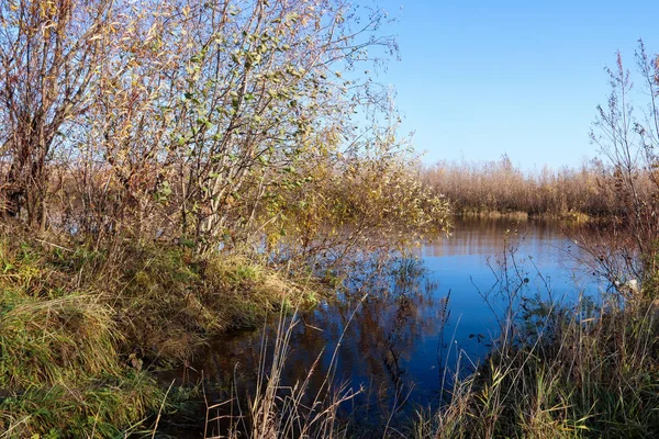 Arkhangelsk 'de sonbahar günü. Nehir kuzey Dvina görünümü ve 