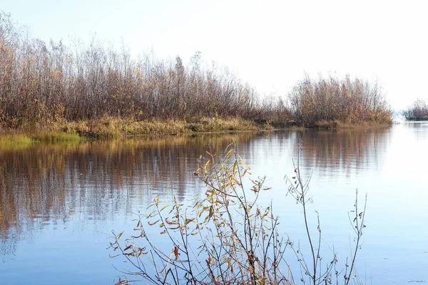 Arkhangelsk 'de sonbahar günü. Ada Krasnoflotsky. yansıma 