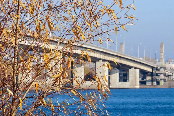 Autumn day in Arkhangelsk. View of the river Northern Dvina and — Stock Image Autumn day in Arkhangelsk. View of the river Northern Dvina and Royalty Free Stock Photos