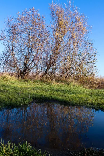 Autumn day in Arkhangelsk. Island Krasnoflotsky. the reflection — Stock Image Autumn day in Arkhangelsk. Island Krasnoflotsky. the reflection Royalty Free Stock Photos