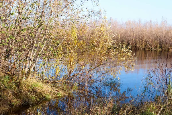 Autumn day in Arkhangelsk. Island Krasnoflotsky. the reflection — Stock Image Autumn day in Arkhangelsk. Island Krasnoflotsky. the reflection Royalty Free Stock Photos