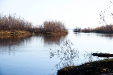 Arkhangelsk 'de sonbahar günü. Ada Krasnoflotsky. yansıma 