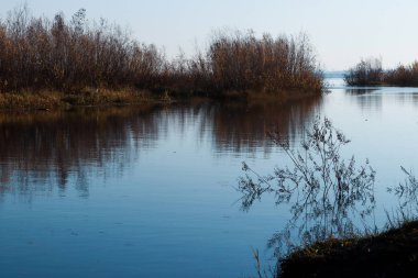 Arkhangelsk 'de sonbahar günü. Ada Krasnoflotsky. yansıma 