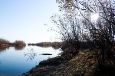 Arkhangelsk 'de sonbahar günü. Ada Krasnoflotsky. yansıma 