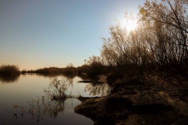 Arkhangelsk 'de sonbahar günü. Ada Krasnoflotsky. yansıma 
