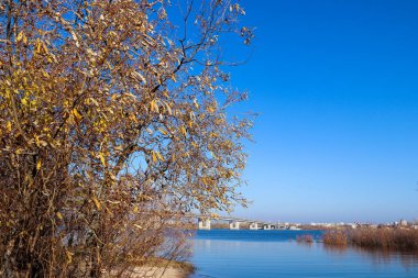 Arkhangelsk 'de sonbahar günü. Nehir kuzey Dvina görünümü ve 
