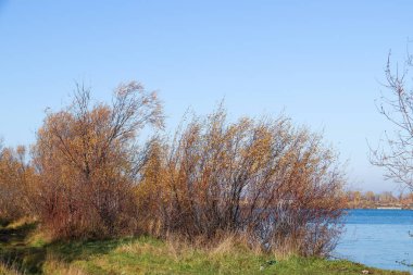 Arkhangelsk 'de sonbahar günü. Nehir kuzey Dvina görünümü ve 