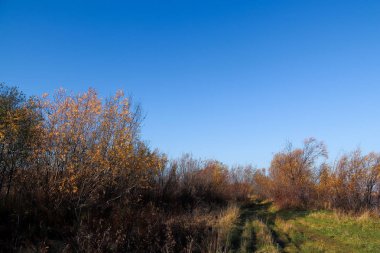 Arkhangelsk 'de sonbahar günü. Nehir kuzey Dvina görünümü ve 