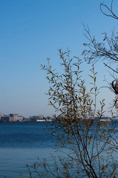 Jesienny dzień w Archangielsku. Widok na rzekę Dvina i — Zdjęcie stockowe