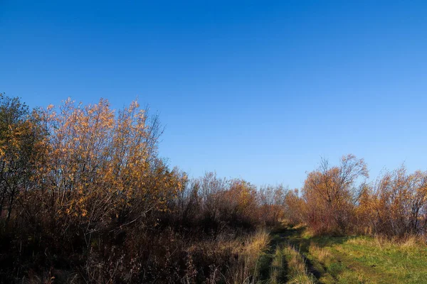 Arkhangelsk 'de sonbahar günü. Nehir kuzey Dvina görünümü ve 