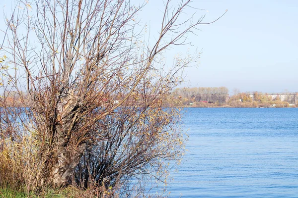 Arkhangelsk 'de sonbahar günü. Nehir kuzey Dvina görünümü ve 