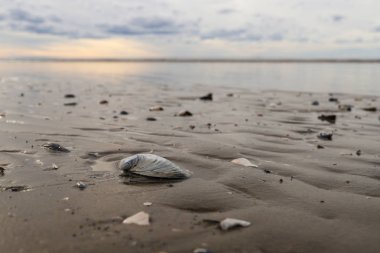 Beyaz deniz. Severodvinsk' e. Yagry Adası. Sonbahar günü tarafından 