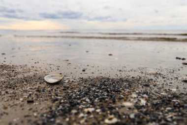 Beyaz deniz. Severodvinsk' e. Yagry Adası. Sonbahar günü tarafından 