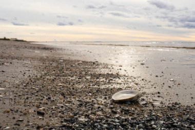 Beyaz deniz. Severodvinsk' e. Yagry Adası. Sonbahar günü tarafından 