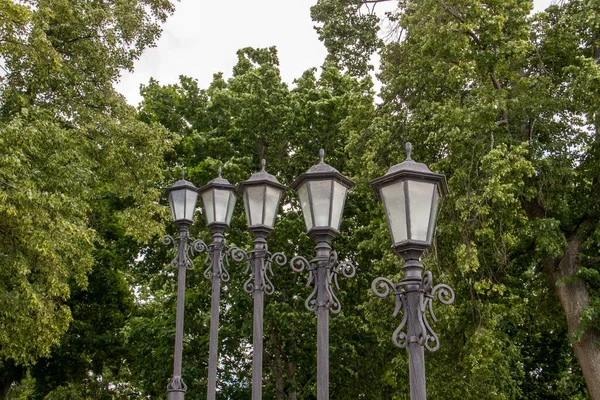 Uglich. O Banco do Rio Volga. Uma linha esbelta de belo l — Fotografia de Stock