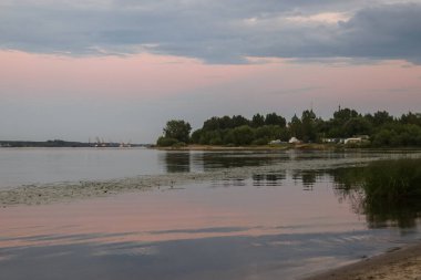 Yaroslav Strelka parlak yaz günü