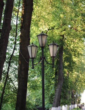 Yaroslavl. Volga seti. Yaroslavl. Yaz akşamı. Volzhsky Bulvarı 'nda ışıklar. Linden sokağı. Kapat.