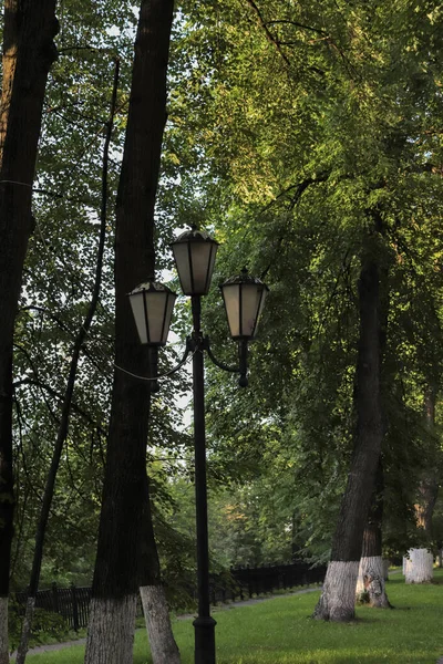 Yaroslavl Aterro Volga Yaroslavl Noite Verão Luzes Volzhsky Boulevard Beco — Fotografia de Stock