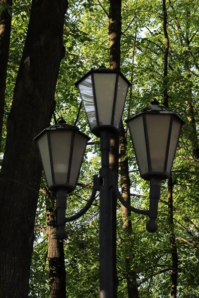 Yaroslavl Volga Embankment Yaroslavl Summer Evening Lights Volzhsky Boulevard Linden — Stock Photo, Image