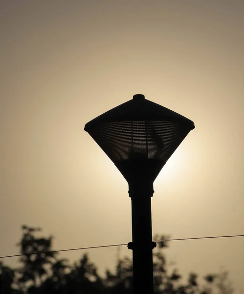 Yaroslavl Wolga Dijk Yaroslavl Zomer Avond Licht Volzhsky Boulevard Linden — Stockfoto