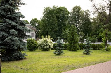 Yaroslavl sokaklarında yaz günü. Çaykovski Caddesi 'ndeki Park' ta. Yağmurdan sonra. Yansıma. Güzel manzaralı bir şehir.