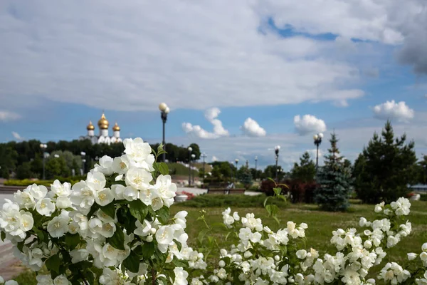 Een Delicate Bloem Van Philadelphus Tegen Achtergrond Van Bezienswaardigheden Van — Stockfoto