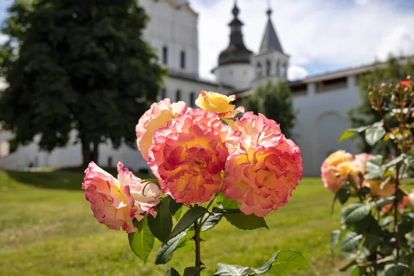 Gebiet Jaroslawl Sommertag Rostower Kreml Schöne Rosen Park Vor Dem — Stockfoto