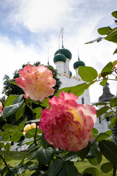 Gebiet Jaroslawl Sommertag Rostower Kreml Schöne Rosen Park Vor Dem — Stockfoto