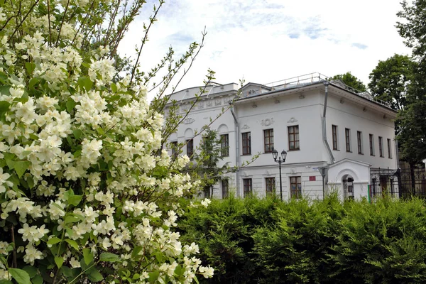 Een Delicate Bloem Van Philadelphus Yaroslavl Prachtige Zomerdag Een Prachtig — Stockfoto