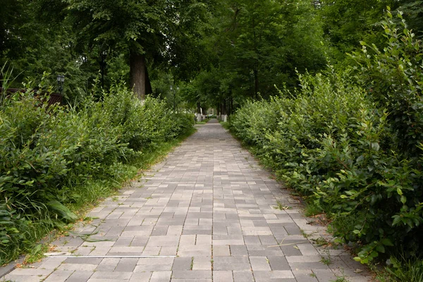 Yaroslavl Praça Demidovsky Brilhante Dia Verão Cidade Lindamente Paisagística — Fotografia de Stock