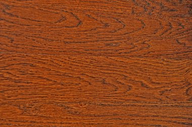 Dokular bir ağaç. Arka plan doku tasarımı için.