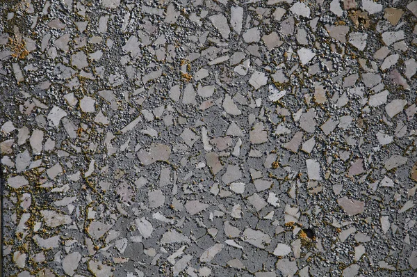 Texture Des Fragments Pierre Fond Gris Ciment — Photo