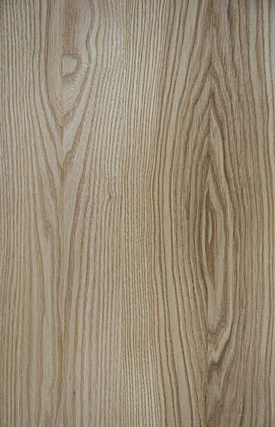 Holzstruktur Die Linien Befinden Sich Einer Ellipse Auf Grauem Hintergrund — Stockfoto