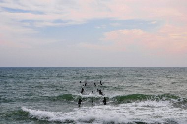 Ufuk çizgisi denizde. Çürük metal içine döndü iskelesinden demir çubukları.