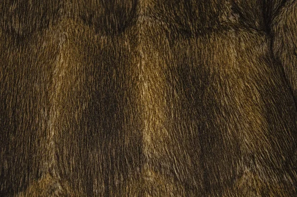 麝鼠毛皮的质地 棕色和黄色的背景 — 图库照片