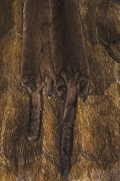 Hintergrund Und Textur Des Pelzes Fell Ondarta Mit Zwei Nerzhäuten — Stockfoto