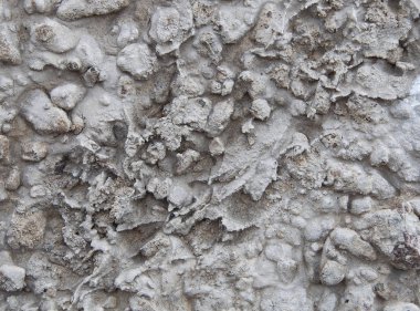 Doku ve arka plan beton portre.