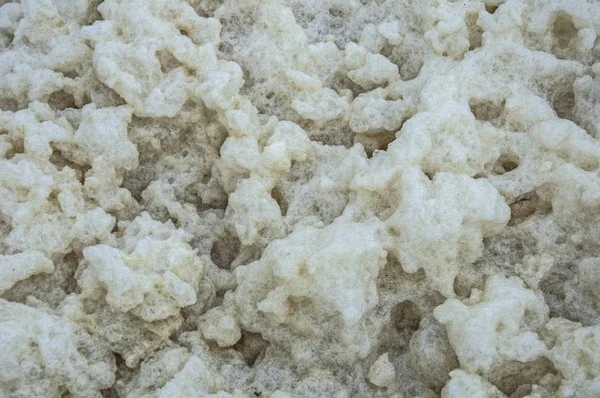 Texture and background of sea foam.